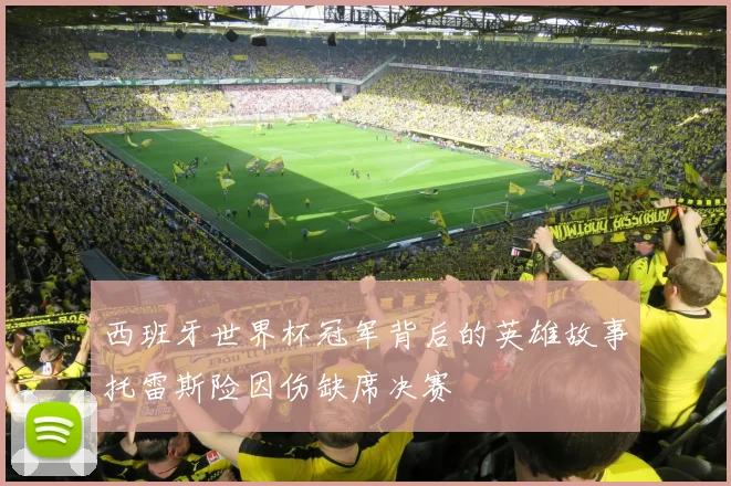 西班牙世界杯冠军背后的英雄故事托雷斯险因伤缺席决赛