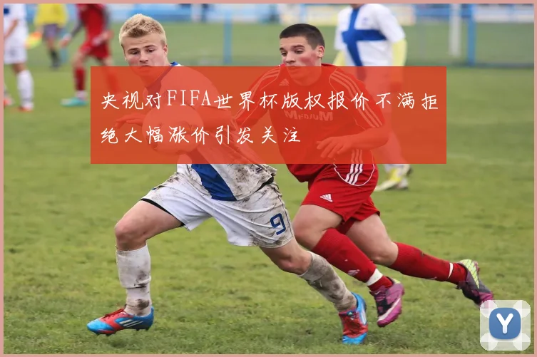 央视对FIFA世界杯版权报价不满拒绝大幅涨价引发关注