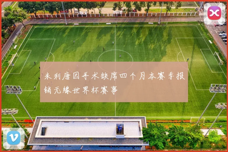 米利唐因手术缺席四个月本赛季报销无缘世界杯赛事
