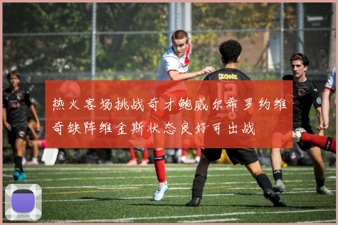 热火客场挑战奇才鲍威尔希罗约维奇缺阵维金斯状态良好可出战